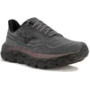Image de Mizuno Wave Horizon 9 chaussures homme Gris/argent 46.5