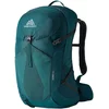 Image de GREGORY Juno 30 Accessoires Vert TU