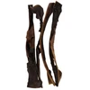 Image de Peau de Chameau - Friandise naturelle