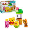 Image de LEGO DUPLO | Disney Winnie the Pooh’s Birthday Party 10457
