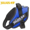 Image de Harnais IDC POWER Julius K9 - BLEU