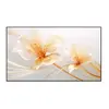 Image de ALR 100'''' pour focale ultra courte