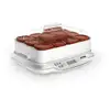 Image de Yogurtière SEB YG661A00 600 W 1,68 L 12 pots écran inox