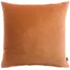 Image de Coussin uni Vivaraise Elise 30x50 cm