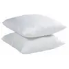 Image de Oreiller BigBuy Home (x2) TU
