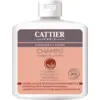 Image de Shampooing Vinagre De Romero 250 ml