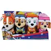 Image de Coffret 4 Peluches Jemini Paw Patrol Chase Marcus Rubble Stella 12 cm