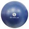 Image de Ballon pédagogique bleu 22-24 cm