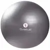 Image de Gymball gris 65cm