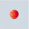 Image de Balle Lestée 2 kg