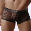 Image de Boxer Transparent Quadrillé
