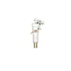 Image de SOS Primer White