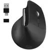 Image de Ratón Mobility Lab ML313139 Sans fil 1600 DPI Noir Ergonomique Vertical