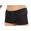 Image de Boxer Trouble