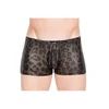 Image de Boxer Panther