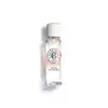 Image de Bois Fleur de Figuier Eau Fraîche