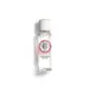 Image de Bois Gingembre Rouge Eau Fraîche