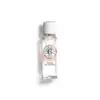 Image de Bois Fleur de Figuier Eau Fraîche