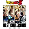 Image de Disque Vinyle Dragon Ball Z Best Collection Edition Limitée
