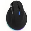 Image de Souris Bluestork Ergo Lumi Pro Bluetooth RF 4800 DPI Noir RGB