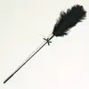 Image de Betty Hoops, Plume d'autruche Passage du Désir -  Noir