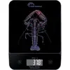 Image de Balance de cuisine Little Balance Happy Genius 10, 10 kg 1 g