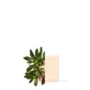 Image de Savon Extra Souverain Naturel