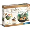 Image de Terrarium Harry Potter - CLEMENTONI - Cabane de Hagrid a reproduire
