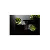 Image de QUANTUMPRO3421 + HOTTE INTEGREE
