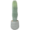 Image de HOMCOM Cactus artificiel 66 cm, plante décorative avec pot pour décoration intérieure, vert