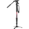 Image de Kit monopode vidéo Element MII en aluminium avec rotule fluide de Manfrotto