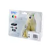 Image de Pack Ours Polaire 4 couleurs XL