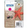Image de ETOILE DE MER MAGENTA