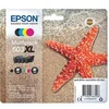 Image de PACK ETOILE DE MER 4 COULEURS Xl