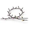 Image de Guirlande Lumineuse Festavia 250LEDs