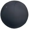Image de Ballon de siège Leitz Ergo Gris 55 cm pour posture et mouvement