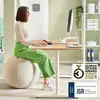 Image de Balle de siège Leitz Ergo Active 65cm Gris Antidérapant