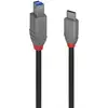 Image de Câble USB C vers USB B 3.2 Gen 1 3 m Lindy Anthra Line Noir
