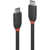 Image de Cable USB-C à USB-C Lindy 36905 0,5 m USB 3.2 Gen 1 10 Gbit/s Noir