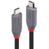 Image de Câble USB C Lindy 36947 0,8 m USB4 Gen 3x2 Noir