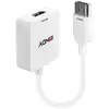 Image de Adaptateur Vidéo Lindy HDMI vers DisplayPort 4K 3840x2160
