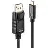 Image de Cable adaptateur USB Type C à DisplayPort 10 m noir Lindy