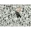 Image de Puzzle de 1000 pièces Ravensburger Star Wars 70x50 cm