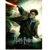 Image de Puzzle de 100 pièces XXL Le monde fantastique d'Harry Potter Ravensburger 335x231x37 mm