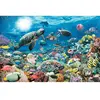 Image de Puzzle 5 000 pièces Monde marin Ravensburger 433x301x74 mm