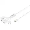 Image de Hub Digitus 4 ports USB 2.0 480 Mbit/s Slim Spider Blanc avec alimentation optionnelle