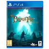Image de The Bard's Tale IV : Director's Cut PS4
