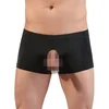 Image de Boxer Ouvert