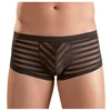 Image de Boxer Transparent Rayé