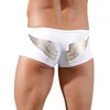 Image de Boxer Ailé
